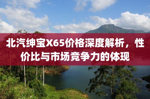 北汽紳寶X65價格深度解析，性價比與市場競爭力的體現(xiàn)