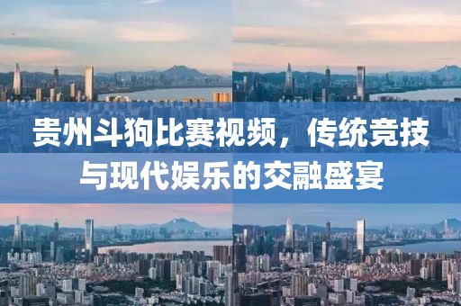 貴州斗狗比賽視頻，傳統(tǒng)競技與現(xiàn)代娛樂的交融盛宴