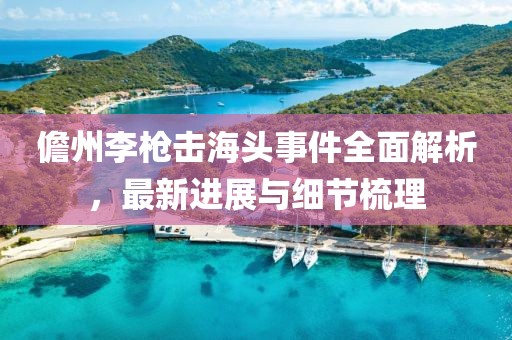 儋州李槍擊海頭事件全面解析，最新進展與細節(jié)梳理