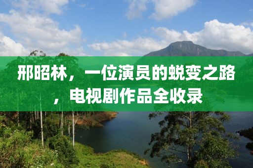 邢昭林，一位演員的蛻變之路，電視劇作品全收錄