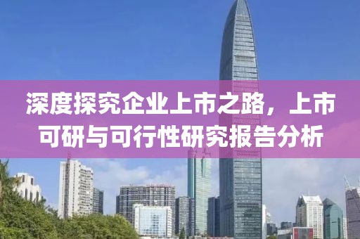 深度探究企業(yè)上市之路，上市可研與可行性研究報告分析