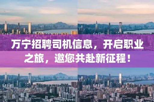 萬寧招聘司機信息，開啟職業(yè)之旅，邀您共赴新征程！