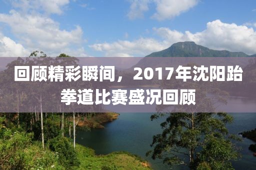 回顧精彩瞬間，2017年沈陽跆拳道比賽盛況回顧