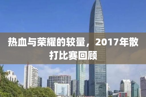 熱血與榮耀的較量，2017年散打比賽回顧