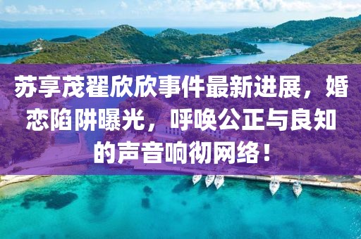 蘇享茂翟欣欣事件最新進展，婚戀陷阱曝光，呼喚公正與良知的聲音響徹網(wǎng)絡！