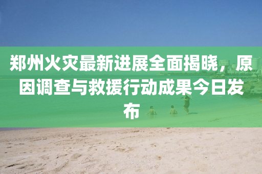 鄭州火災(zāi)最新進(jìn)展全面揭曉，原因調(diào)查與救援行動(dòng)成果今日發(fā)布