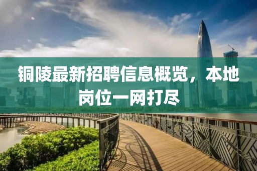 銅陵最新招聘信息概覽，本地崗位一網(wǎng)打盡