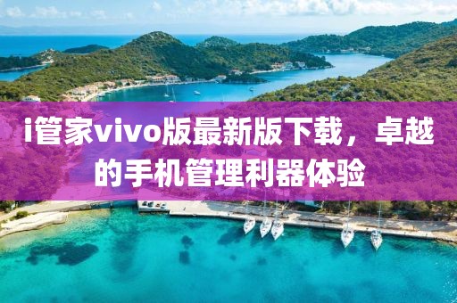i管家vivo版最新版下載，卓越的手機管理利器體驗