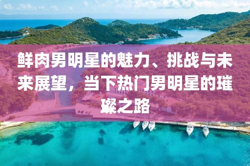 鮮肉男明星的魅力、挑戰(zhàn)與未來展望，當(dāng)下熱門男明星的璀璨之路