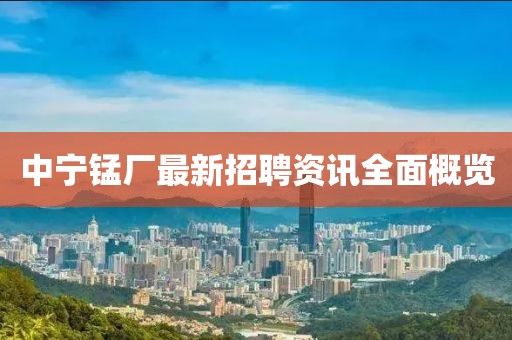 中寧錳廠最新招聘資訊全面概覽