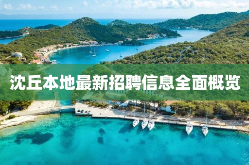 沈丘本地最新招聘信息全面概覽