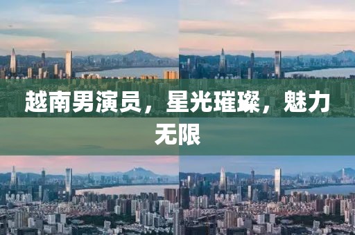 越南男演員，星光璀璨，魅力無限