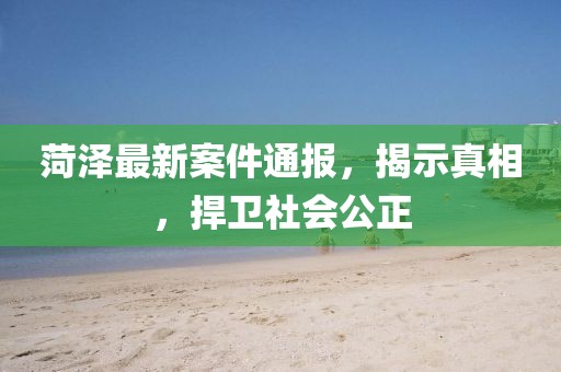 菏澤最新案件通報(bào)，揭示真相，捍衛(wèi)社會公正