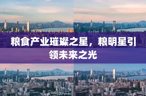 糧食產(chǎn)業(yè)璀璨之星，糧明星引領(lǐng)未來(lái)之光