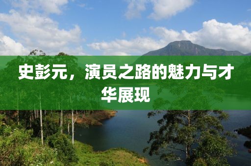 史彭元，演員之路的魅力與才華展現(xiàn)