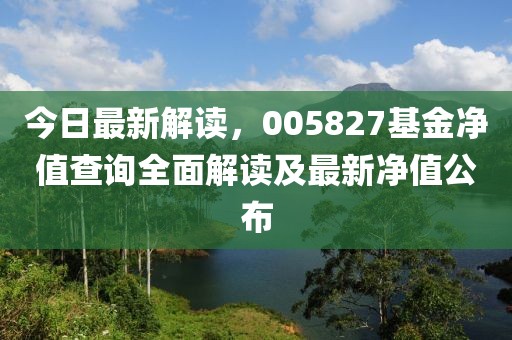 今日最新解讀，005827基金凈值查詢?nèi)娼庾x及最新凈值公布