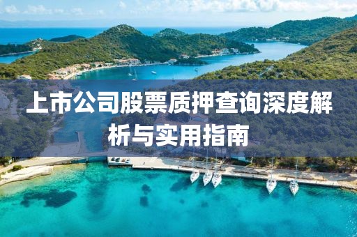 上市公司股票質(zhì)押查詢深度解析與實(shí)用指南