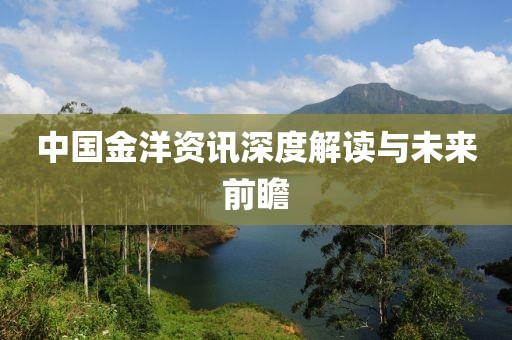 中國(guó)金洋資訊深度解讀與未來(lái)前瞻