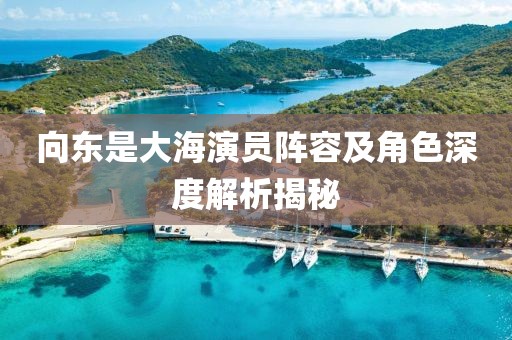 向東是大海演員陣容及角色深度解析揭秘