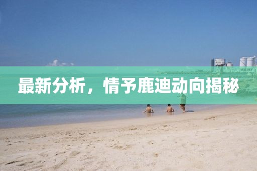 最新分析，情予鹿迪動向揭秘