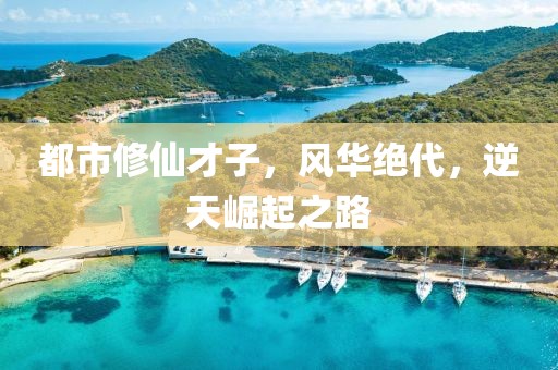 都市修仙才子，風(fēng)華絕代，逆天崛起之路