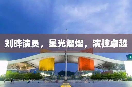 劉曄演員，星光熠熠，演技卓越