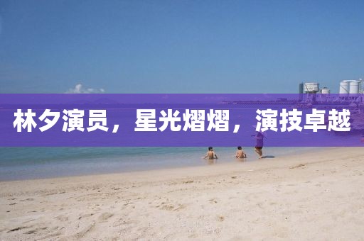 林夕演員，星光熠熠，演技卓越