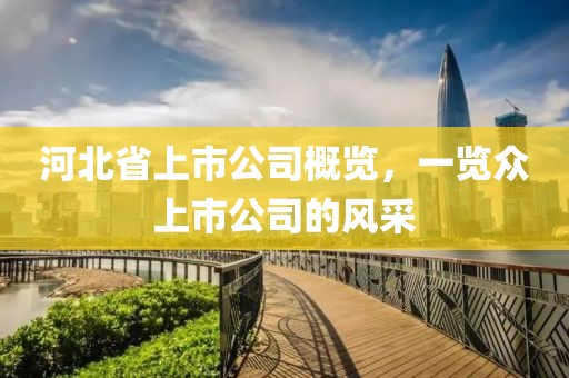 河北省上市公司概覽，一覽眾上市公司的風(fēng)采