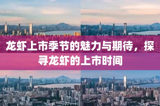 龍蝦上市季節(jié)的魅力與期待，探尋龍蝦的上市時間