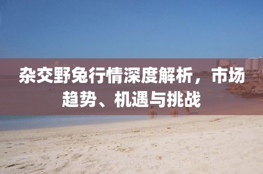 雜交野兔行情深度解析，市場趨勢、機遇與挑戰(zhàn)