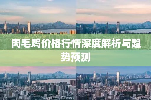 肉毛雞價(jià)格行情深度解析與趨勢預(yù)測