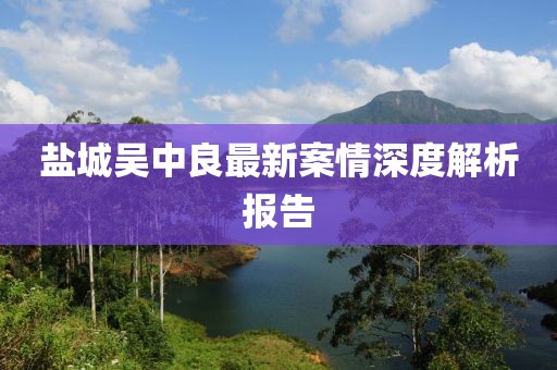 鹽城吳中良最新案情深度解析報告
