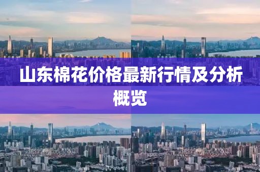 山東棉花價(jià)格最新行情及分析概覽