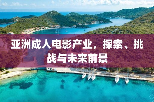 亞洲成人電影產(chǎn)業(yè)，探索、挑戰(zhàn)與未來前景