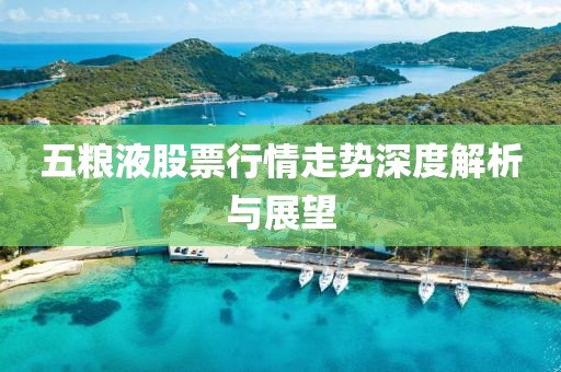 五糧液股票行情走勢(shì)深度解析與展望