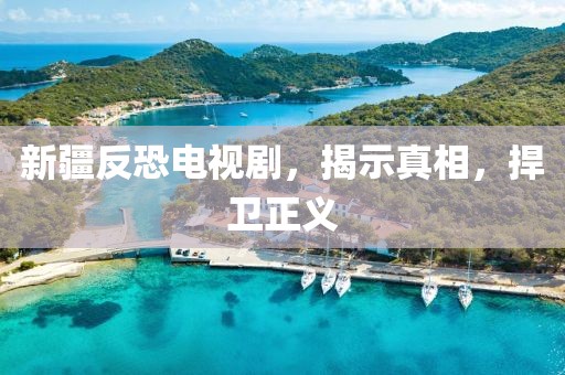 新疆反恐電視劇，揭示真相，捍衛(wèi)正義