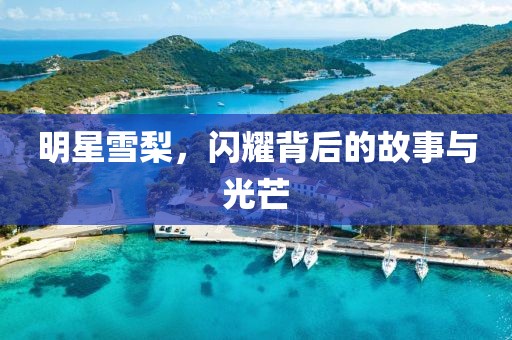 明星雪梨，閃耀背后的故事與光芒