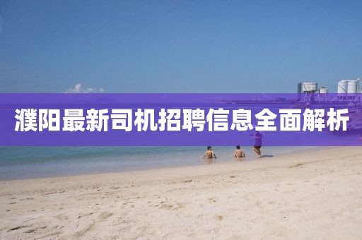 濮陽(yáng)最新司機(jī)招聘信息全面解析