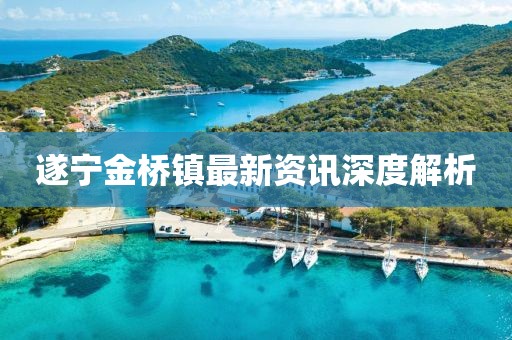 遂寧金橋鎮(zhèn)最新資訊深度解析