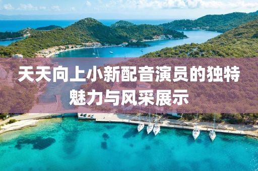 天天向上小新配音演員的獨特魅力與風(fēng)采展示