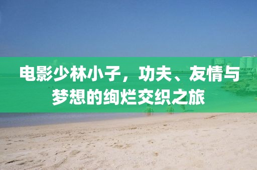 電影少林小子，功夫、友情與夢(mèng)想的絢爛交織之旅