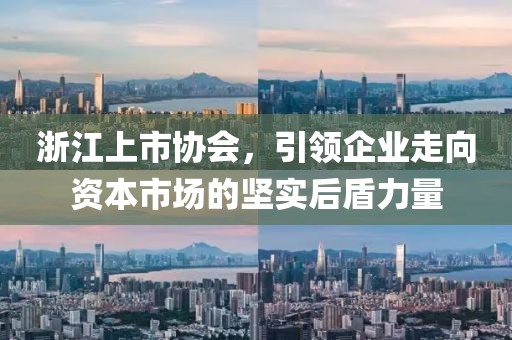 浙江上市協(xié)會，引領(lǐng)企業(yè)走向資本市場的堅(jiān)實(shí)后盾力量
