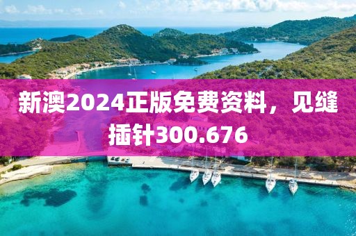新澳2024正版免費資料，見縫插針300.676