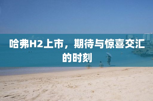 哈弗H2上市，期待與驚喜交匯的時刻