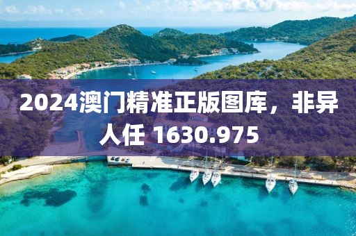 2024澳門精準(zhǔn)正版圖庫，非異人任 1630.975