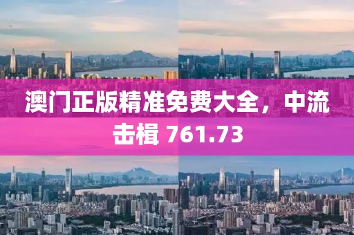 澳門正版精準(zhǔn)免費(fèi)大全，中流擊楫 761.73