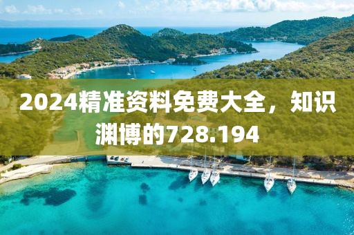 2024精準資料免費大全，知識淵博的728.194