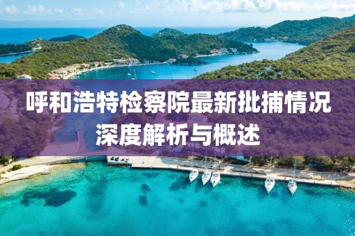 呼和浩特檢察院最新批捕情況深度解析與概述