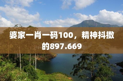 婆家一肖一碼100，精神抖擻的897.669