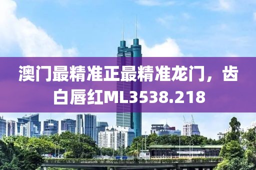 澳門(mén)最精準(zhǔn)正最精準(zhǔn)龍門(mén)，齒白唇紅ML3538.218